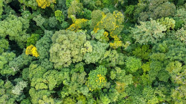 Lancez une chaîne YouTube envoûtante sur le développement durable : conseils essentiels pour captiver et motiver votre audience